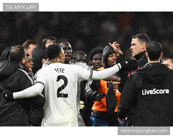 桑德兰与富勒姆战平 穆杰莱伤退离场